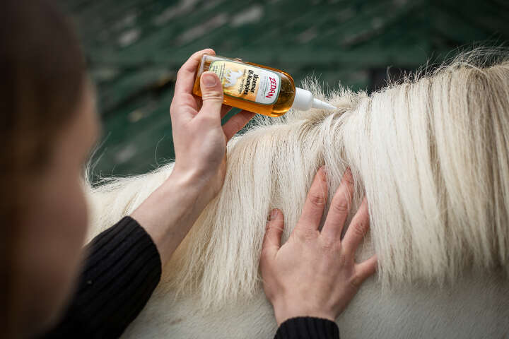 ZEDAN Ekzemer Öl-Komplex Intensivpflege 100ml
